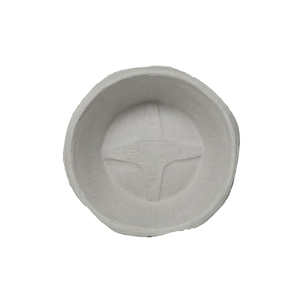 Disposable 3 Litre Bowl